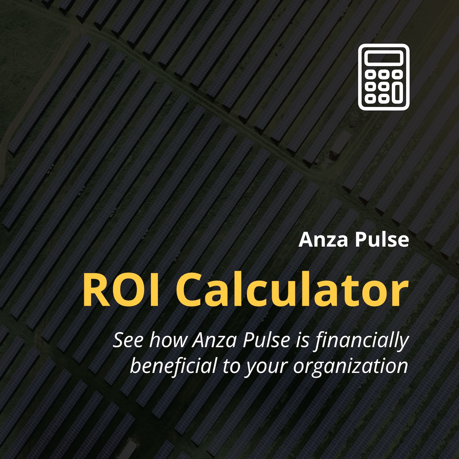 Anza Pulse ROI Calculator