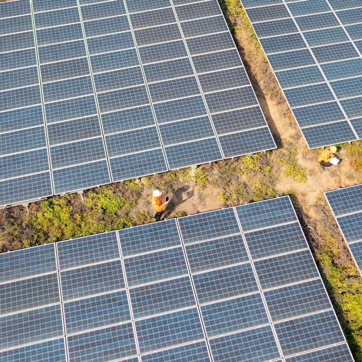 Section 232 Polysilicon: Rewriting Your Solar Procurement Strategy